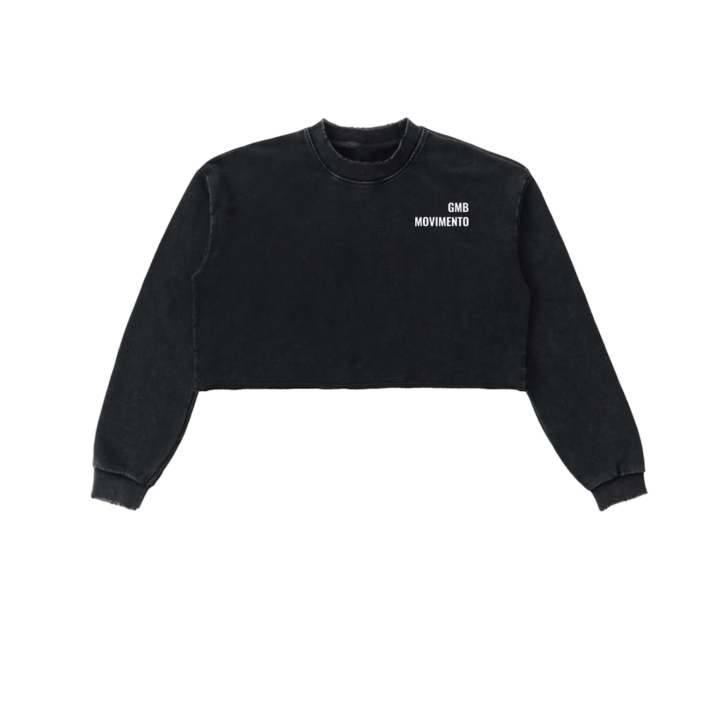 Snow Washed Cropped Sweatshirt